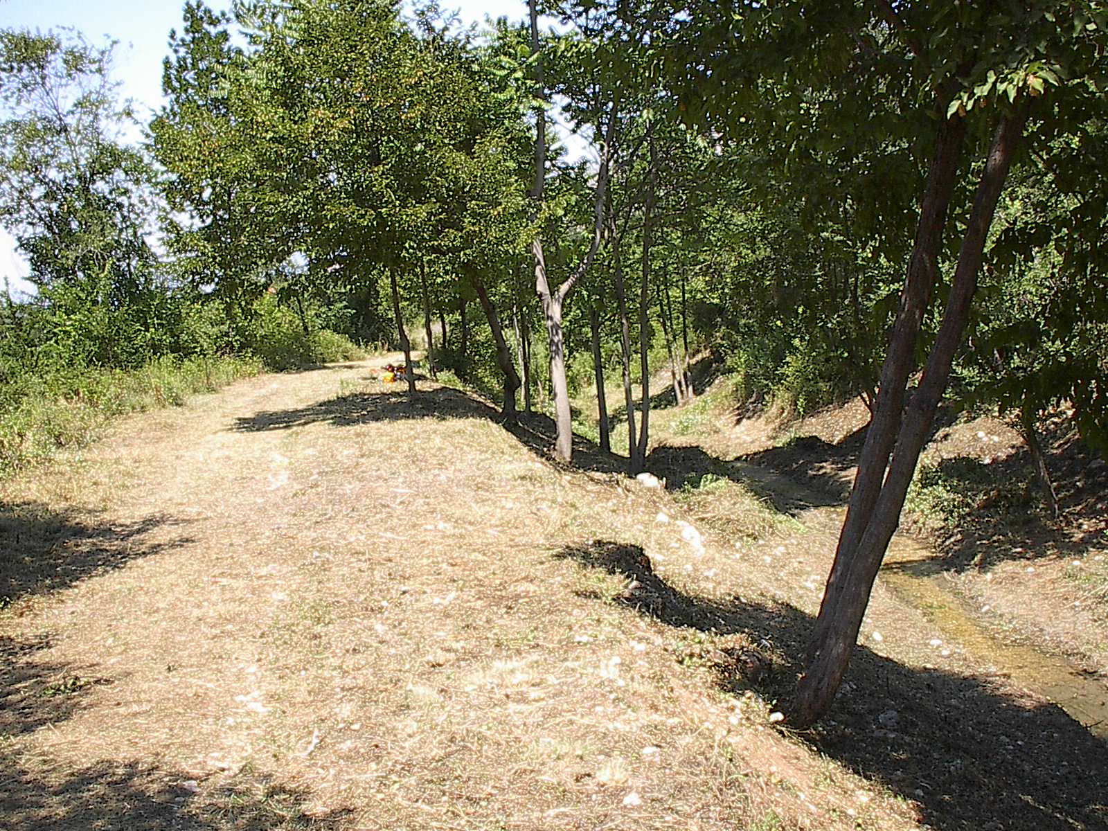 Manutenzione Torrente Riacco  Pettorano Sul Gizio dopo l'intervento